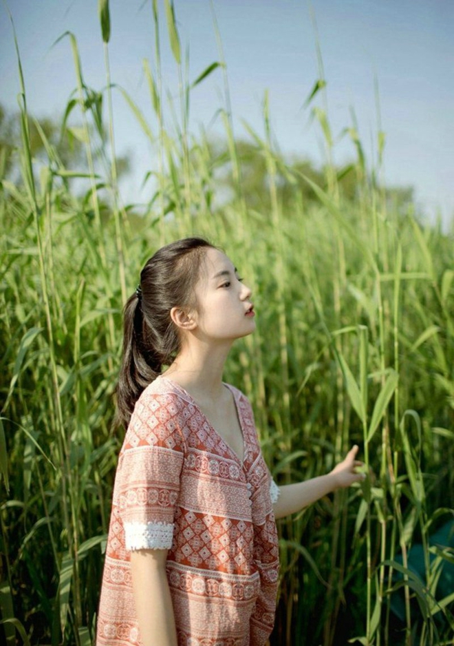 苹果浏览器里电影下载